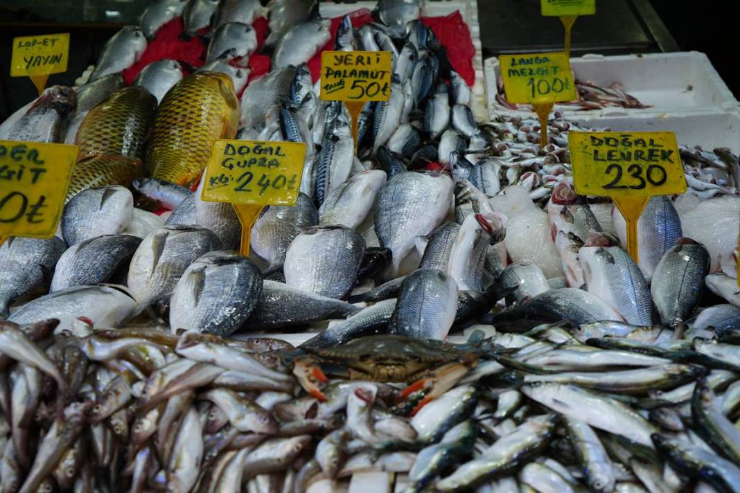 Denize açılan balıkçılar şoke oldu: Mavi tehlike Karadeniz'de! Böylesi ilk kez yaşanıyor 7